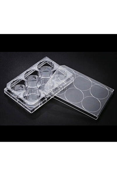 Plak-Hücre Kültürü Için Düz Taban Steril 5 Adet (cell culture plate)