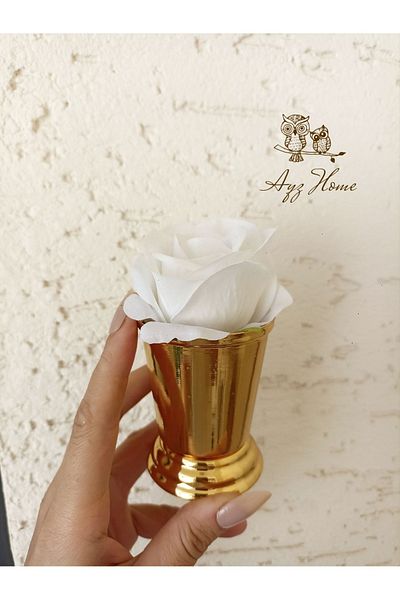 AYZ HOME Velvet Rose Bucket - 1 Piece, Coffee Presented Wishing Promise Engagement