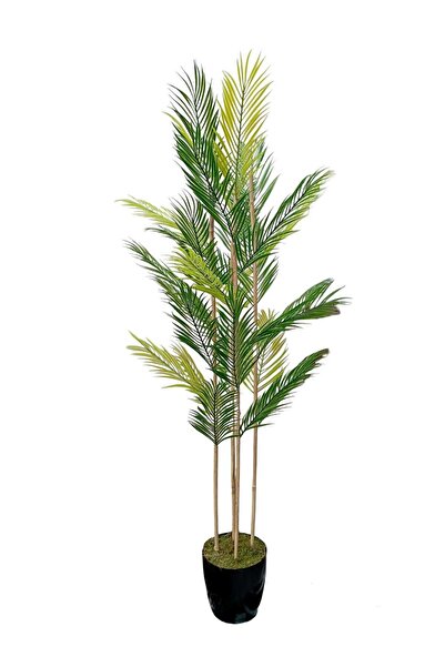 Cennet Home ''Bambu Areka Dört Gövdeli Yapay Ağaç - 150 cm, 27 Yaprak doğal g...