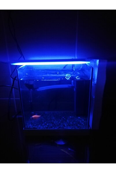 bidevre Akvaryum Ve Araç Içi Led Aydınlatma, 25 Cm, Mavi, 12 Volt Adaptör Ile...