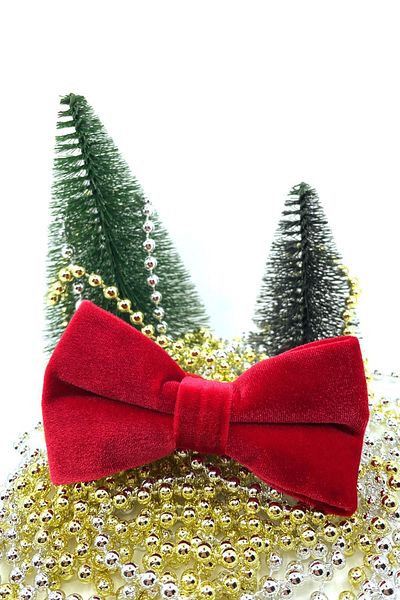 La Pescara Red Velvet Bow Tie P495