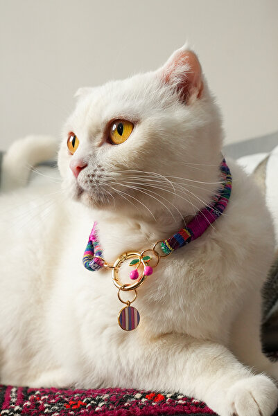 DORA Charmlı Kedi Köpek Tasması Kolyesi - El Yapımı Petdora - Kararmaz Çelik - Kiraz Charm