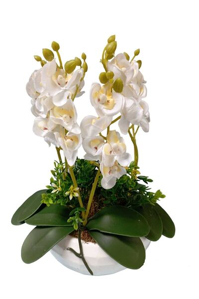 Cennet Home Orchid Aranmanı Tiny Six Orchid Gift Artificial Flower White Luxury Arrangement in a Pot