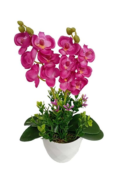 Cennet Home Mini ikili orkide canlı renkli yapay çiçek beyaz saksıda dekoratif masaüstü hediyelik çiçek