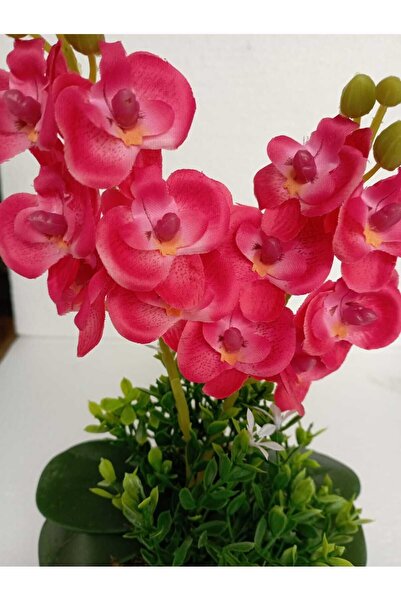 Cennet Home Mini ikili orkide canlı renkli yapay çiçek beyaz saksıda dekoratif masaüstü hediyelik çiçek