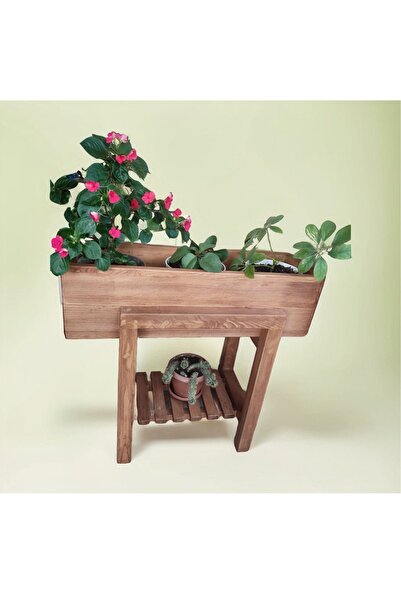 NTCollection NTConcept Doğal Ahşap Masif Bahçe Balkon Saksılık