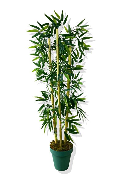 Cihan Çiçekçilik Yapay Yapraklı Bambu Ağacı 3 Bambu'lu 110 Cm Turkuaz Saksı
