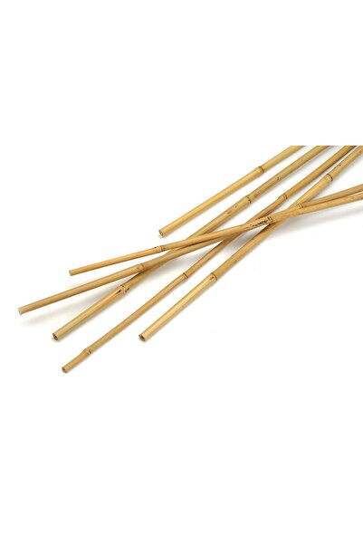 Gardinus Bambu Çubuk Bitki Destek Çubuğu 50 Adet 8 Mm X 120 Cm