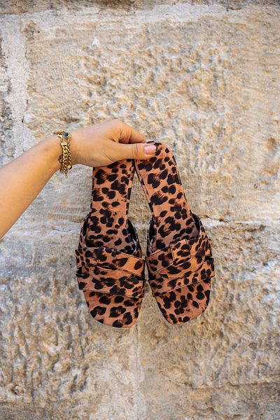 LAMİNTA Papuci de damă Goldeye cu model leopard