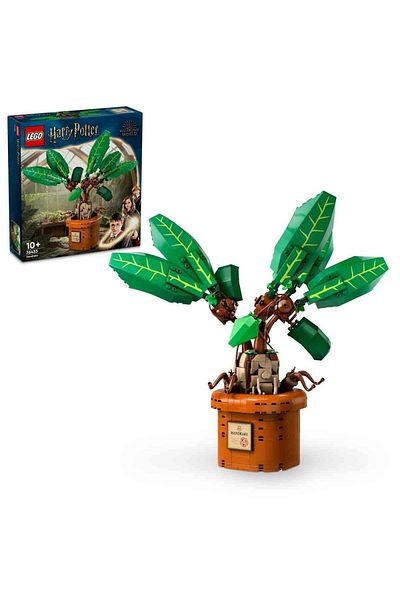 LEGO Harry Potter 76433 - Collectible Potted Adamot for Children Ages 10 and Up