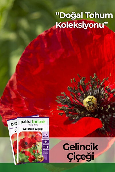 Patika Botanik 50 Adet Gelincik Çiçek Tohumu ( Papaver Rhoeas)