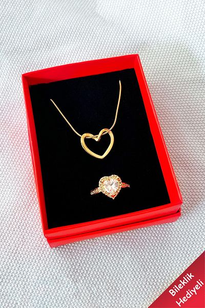 The Collection Italian Steel and Gold Zircon Adjustable Heart Necklace - Chain and Knot Detail