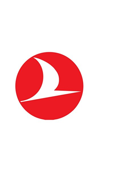 AVERY Thy Sticker, Yapıştırma, Araç Yazıları