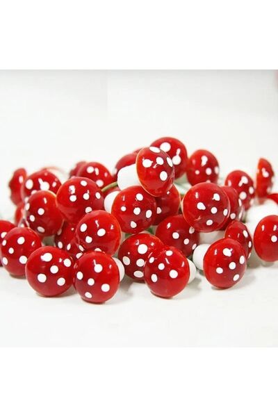 himi teraryum objeleri 20'li Mantar Teraryum Objeleri Teraryum Malzemeleri Sa...