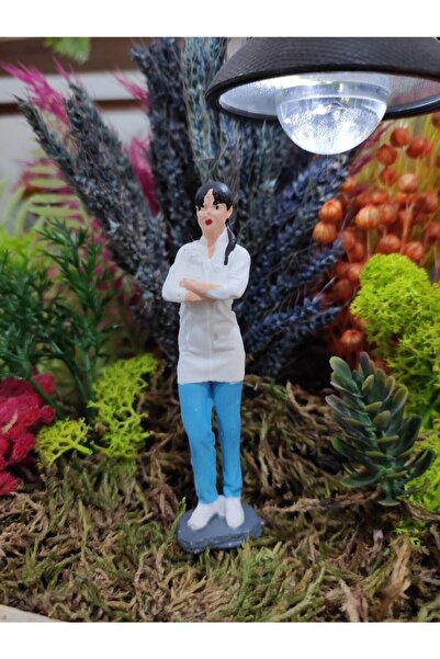 Himi Pasta Süsleri Kadın Doktor Minyatür Figür Karakter Oyuncakları Evcilik K...
