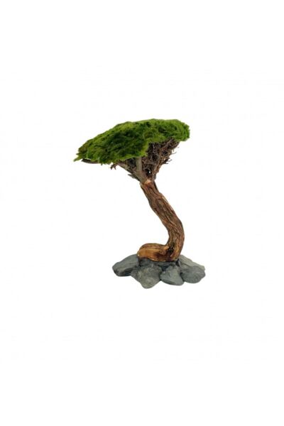 Marimo Scape Ağaç Figürü Moss Sarılı 'l'