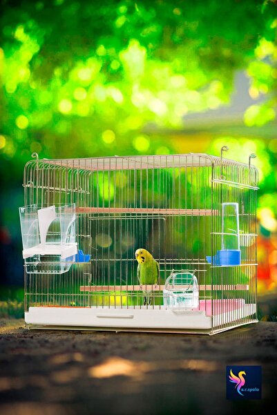 ARSPOLO Üretim Kafesi Küçük Kuşlar İçin 4'lü