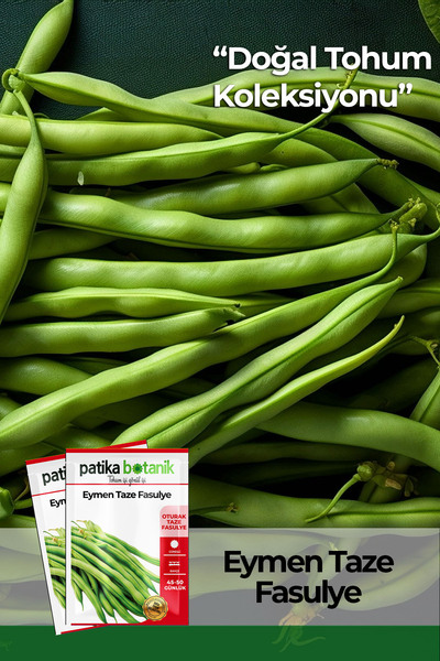 Patika Botanik 40 Adet Ata Tohumu Yerli Eymen Oturak Fasülye