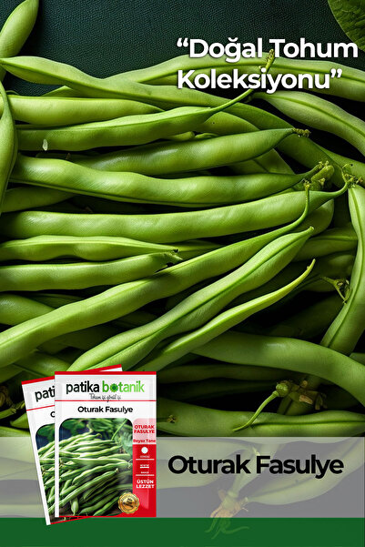 Patika Botanik 50 Adet Oturak Fasulye Tohumu