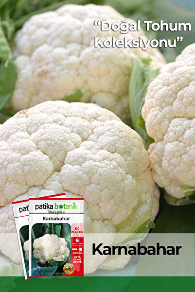 Patika Botanik 200 Adet Karnabahar Tohumu