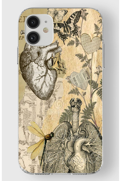 moonset Iphone 11 Uyumlu Kalp ve Kelebek Tasarımlı Baskılı Şeffaf Telefon Kılıfı