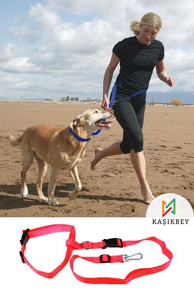 Nurnivus Dog Hands Free Walking Training Waist Collar Dog Sports Running Collar