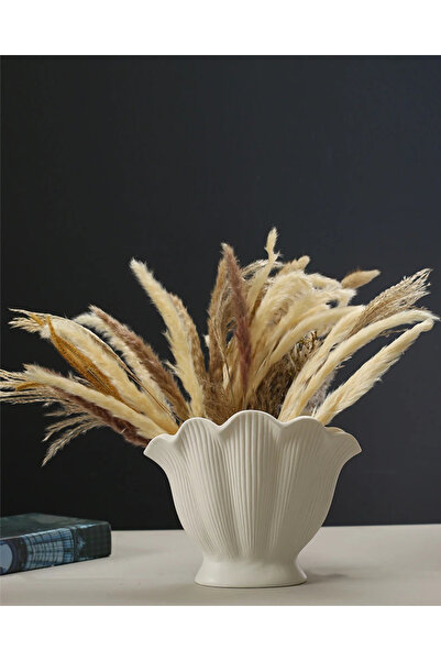 Hepsi Moda Istiridye Vazo (DENİZ KABUĞU VAZO) Küçük Boy Tüm Renkler