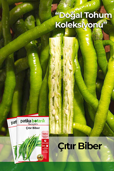 Patika Botanik 200 Adet Çıtır Biber Tohumu (SİVRİ, TATLI)