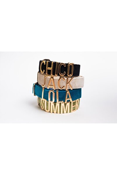 Pawsim İsimli köpek tasması ve gezdirme kayışı,isme özel köpek tasması, köpek tasması + gezdirme kayışı set