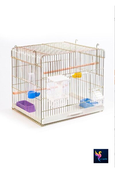 ARSPOLO Papağan Ve Muhabbet Kuşu Üretim Kafesi 45x35x40 Suluk, Ahşap Tunek Ve...