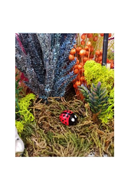 Himi Pasta Süsleri 4-Piece Ladybug Model Toothpick Cupcake Cake Decoration Bi...