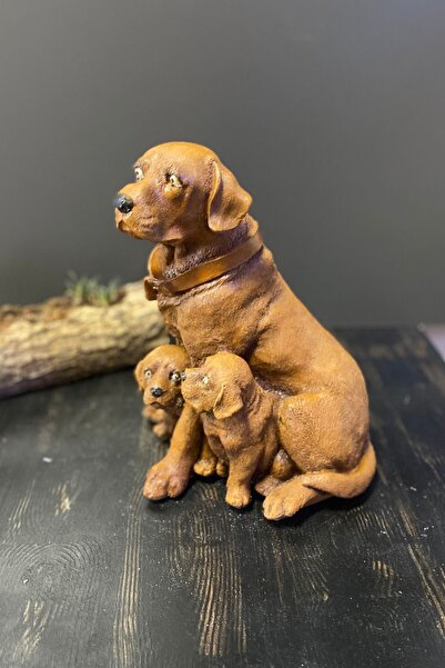 Tasarloxi Çift 2 Yavrulu Dekoratif Retriever Köpek