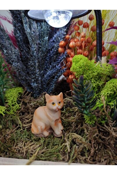 himi teraryum objeleri Kedi Teraryum Minyatür Obje Teraryum Malzemeleri Objeleri