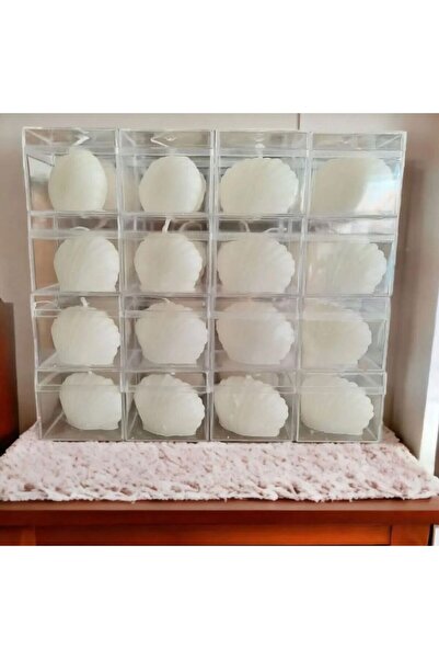 10 Adet Dekoratif Şeffaf Mika Kutulu Mini Istiridye Mum Set
