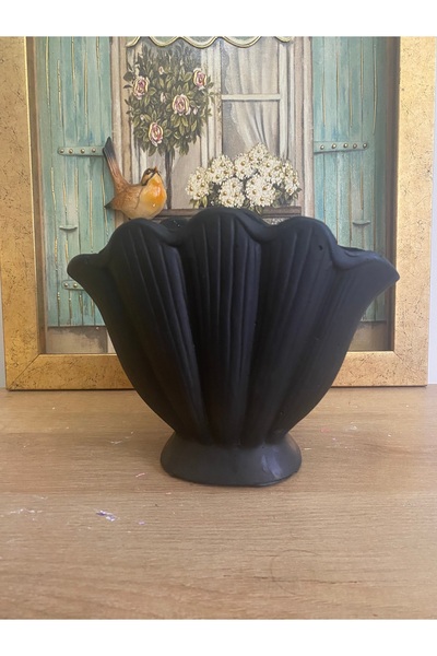 Hepsi Moda Istiridye Vazo (DENİZ KABUĞU VAZO) Küçük Boy Tüm Renkler