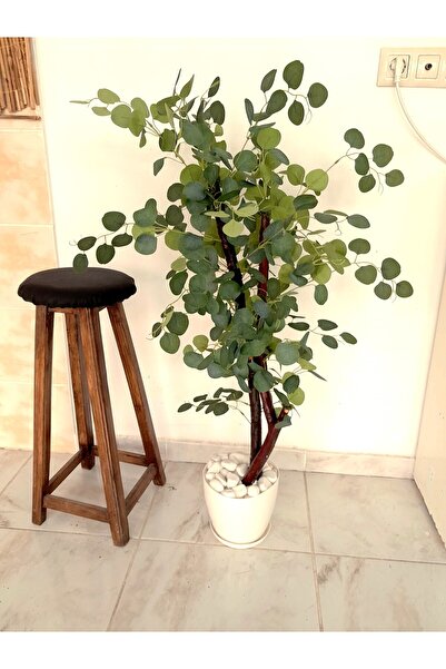 YEŞİLADA Yapay Avusturalya Okaliptüs Ağacı 1 Mt Boy Tropikal Ağaç Okaliptüs B...