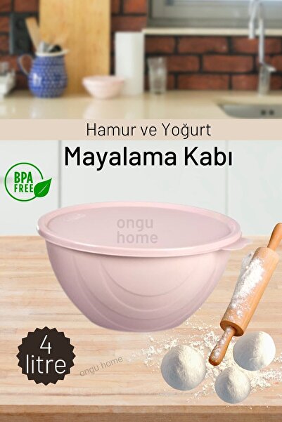 ongu home Hamur Yoğurt Mayalama Ve Saklama Kabı Rainbow Kapaklı Kase
