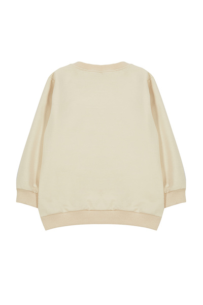 TRENDYOLKIDS Bej*001 Hanorac tricotat pentru băiat, sezonier-subțire, cu model de baschet, cu gâtul turn, TKDAW25SW00005