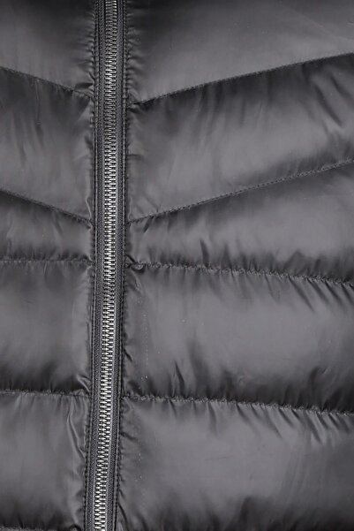 Cazador ΜΠΟΥΦΑΝ ΚΑΤΑΤΑΞΗΣ ΚΑΤΑΤΑΞΗΣ 1039