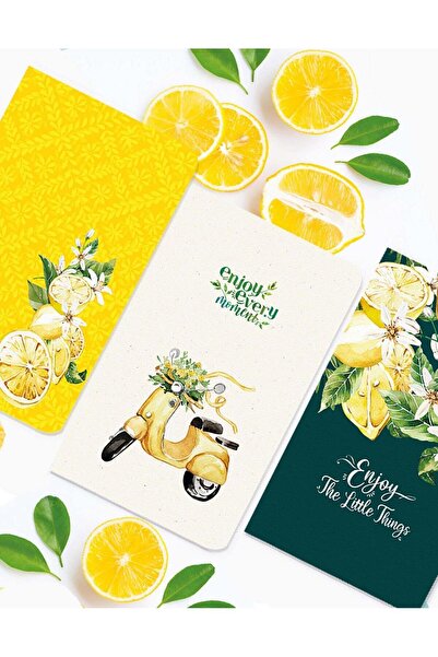 Kağıt Gemi Dükkan Set de 3 caiete cu lămâie