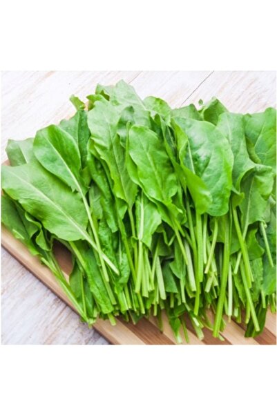 Tohum Dünyası 250 Adet Kuzu Kulağı Otu Tohumu- Limon Aromasında