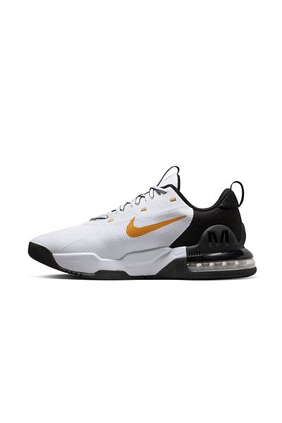 Nike Air Max Alpha Trainer 5 Men's Training Shoes - DM0829-101 M
