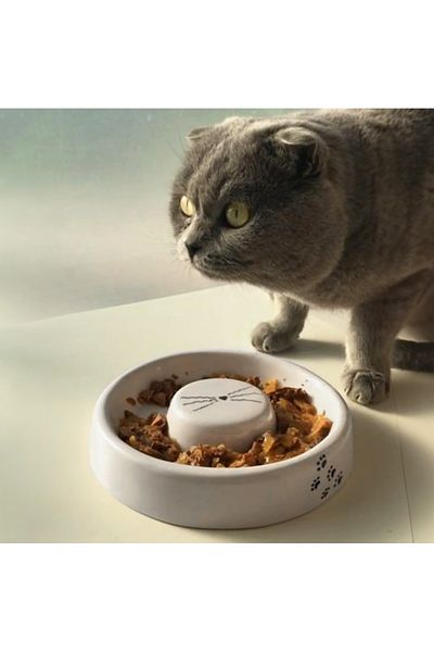 jasmine ceramic Cat Age Food Bowl, Ceramic, White, Cat, Special, New, Patterned