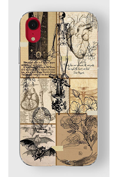 moonset Iphone XR Uyumlu İskelet Kolaj Tasarımlı Baskılı Şeffaf Telefon Kılıfı
