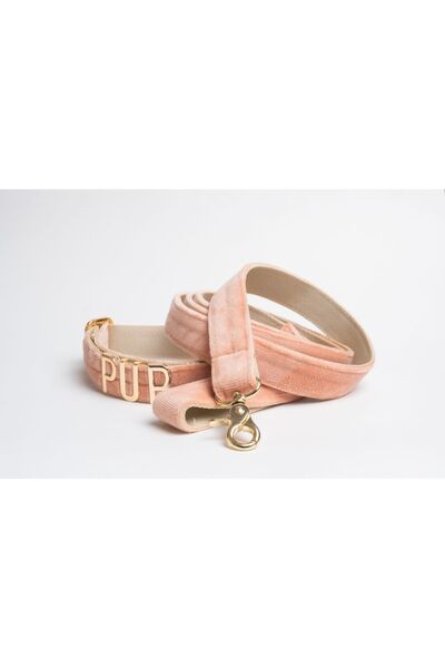 Pawsim İsimli köpek tasması ve gezdirme kayışı,isme özel köpek tasması, köpek tasması + gezdirme kayışı set
