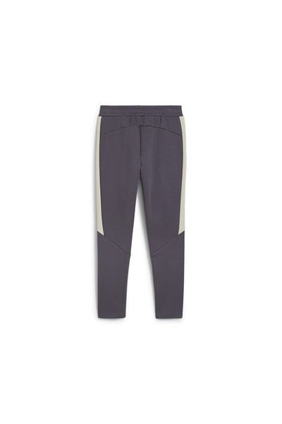 Puma Ανδρικό γκρι φούτερ EVOSTRIPE DK - 68170269