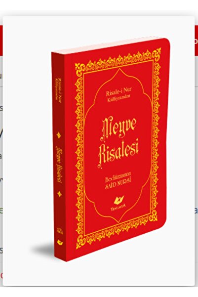 Yeni Asya Neşriyat Risale-i Nur Külliyatından Haşir Risalesi- 8270 Çanta Boy-...