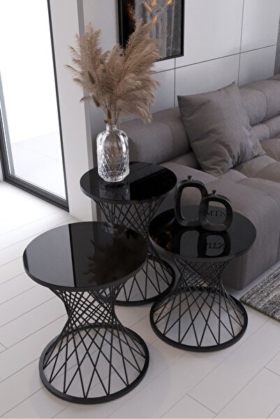 Nies Aksesuar Hasır Telli Pota 3'lü Siyah Ayak Siyah Cam