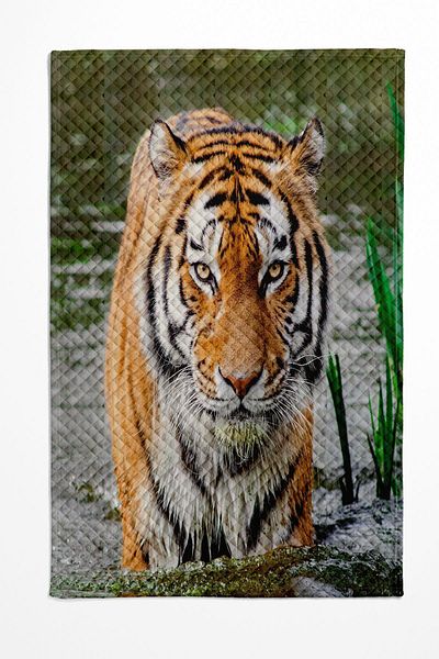 Else Dekor River Tiger Pattern Printed - Μονό Διακοσμητικό Σετ Πικέ Κρεβάτι