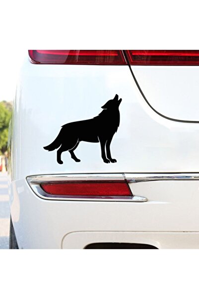 Genel Markalar Kurt Tasarım Folyo Araç Yazısı Araba Stickeri